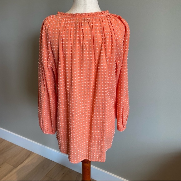 NWT Loft size Small Muted Orange Embroidered Polka Dots - Picture 10 of 12